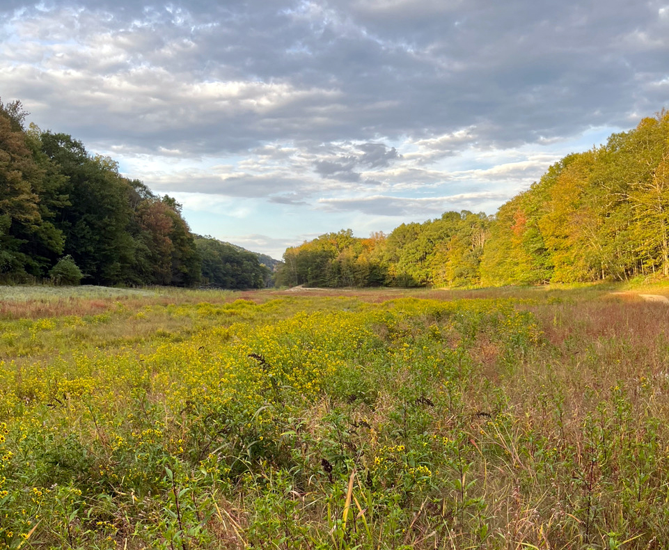 A dry Oak Ridge Reservoir along the Sussex/Morris County border on September 15th when the area was classified in "Moderate Drought" category. Photo courtesy of Alex Burdi A dry Oak Ridge Reservoir along the Sussex/Morris County border on September 15th when the area was classified in "Moderate Drought" category. Photo courtesy of Alex Burdi