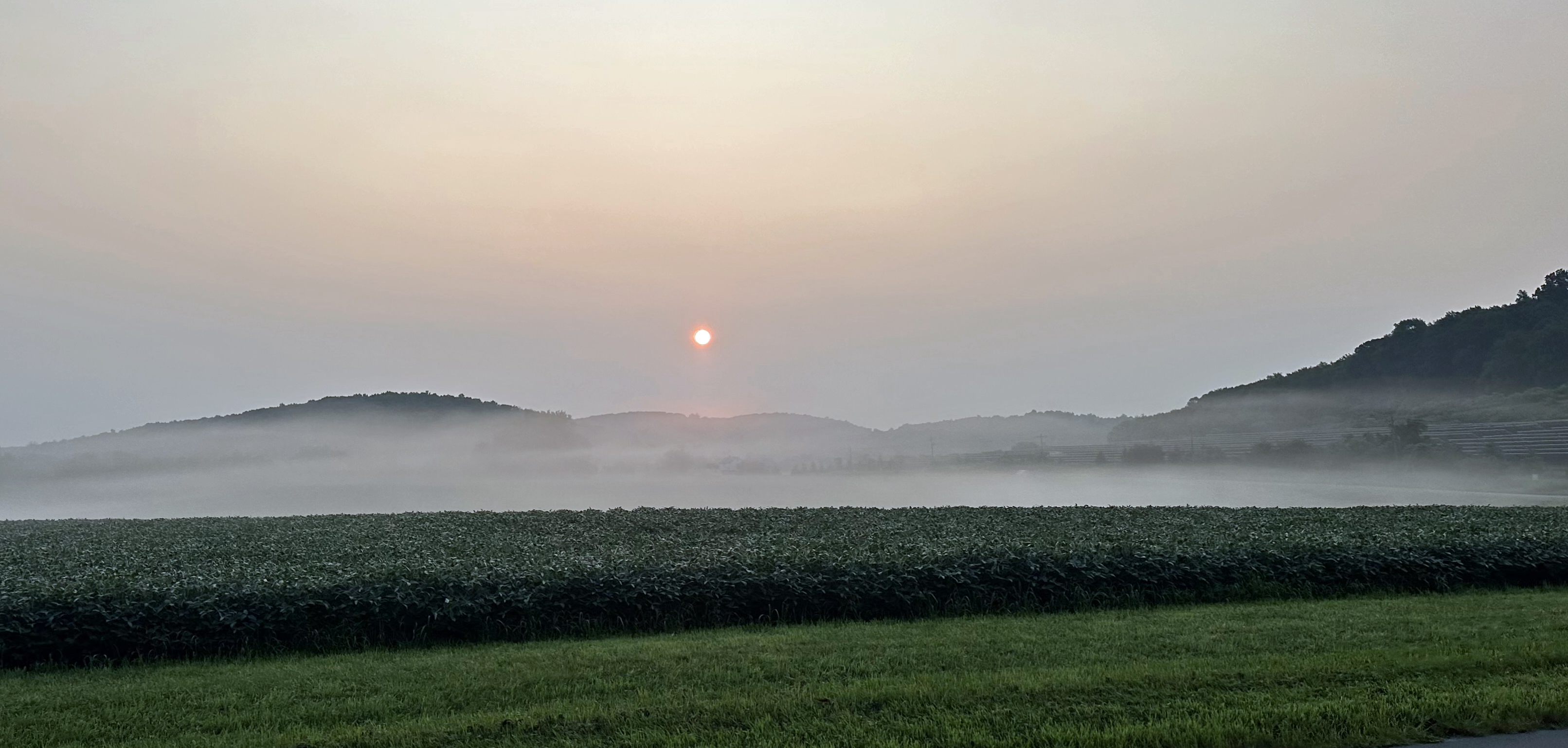 Low-lying fog blankets a farm field in Sparta Township (Sussex County) on the morning of August 16th (photo courtesy of Nick Stefano). Low-lying fog blankets a farm field in Sparta Township (Sussex County) on the morning of August 16th (photo courtesy of Nick Stefano).