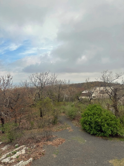 View facing north.