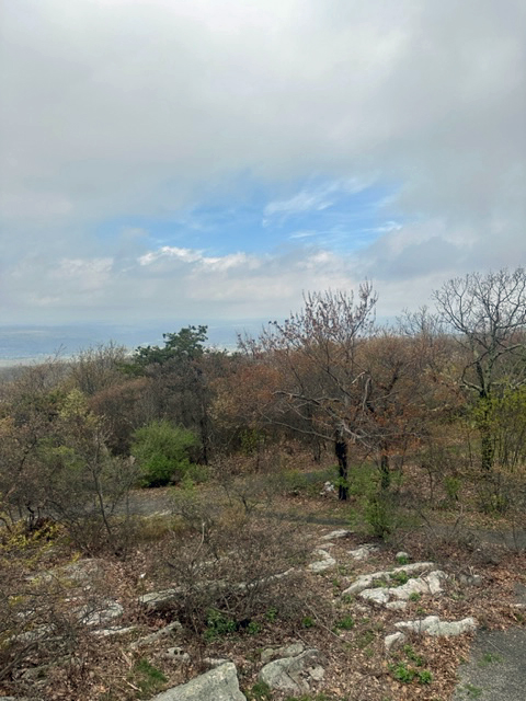 View facing northwest.