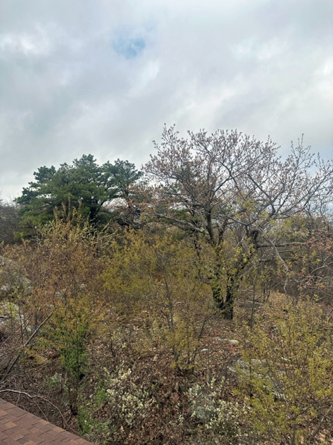 View facing west.