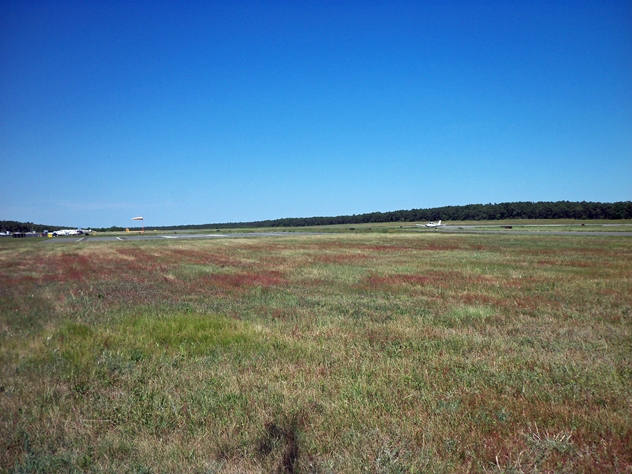 View facing east.