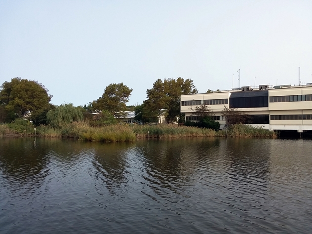 View facing north.