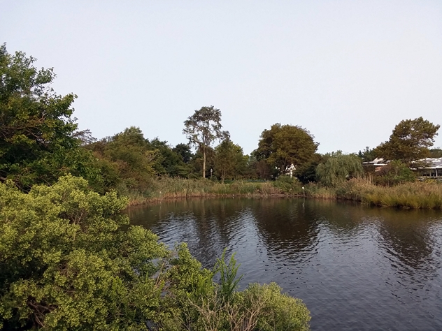 View facing northwest.