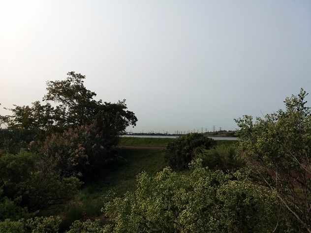 View facing south.