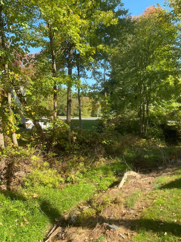 View facing east.