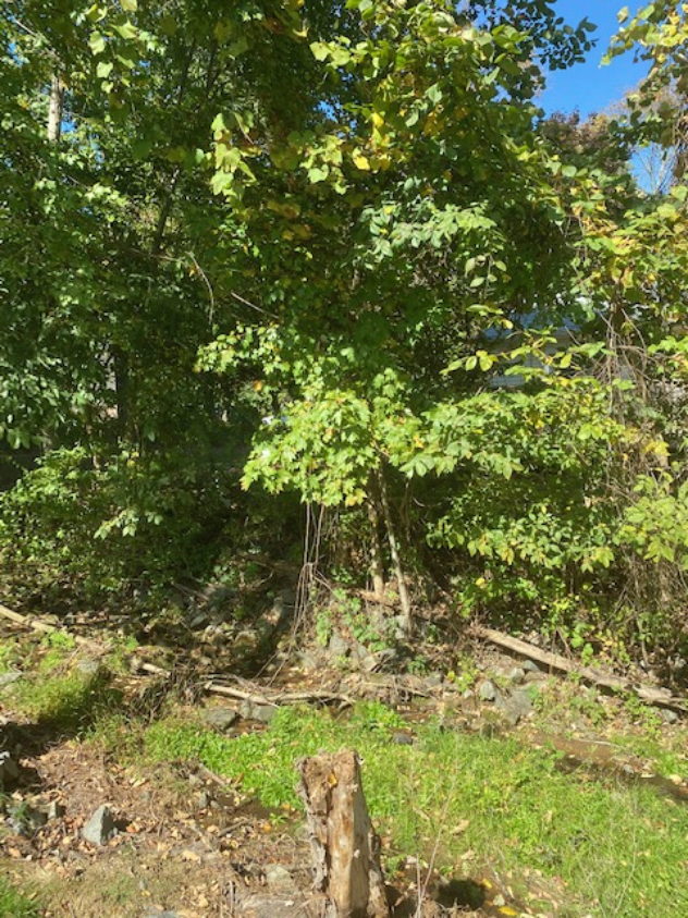 View facing north.