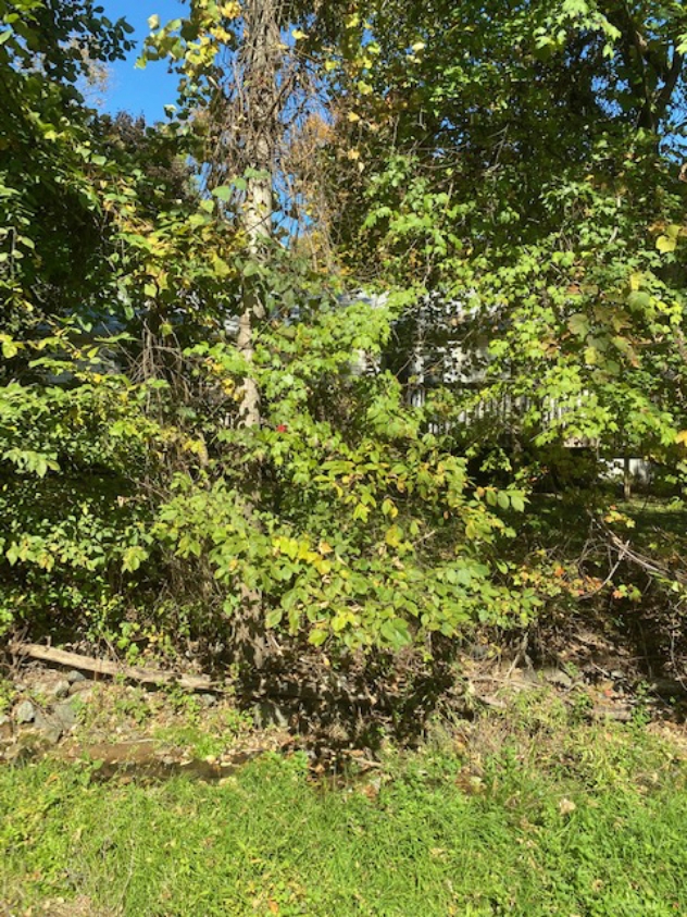View facing northeast.