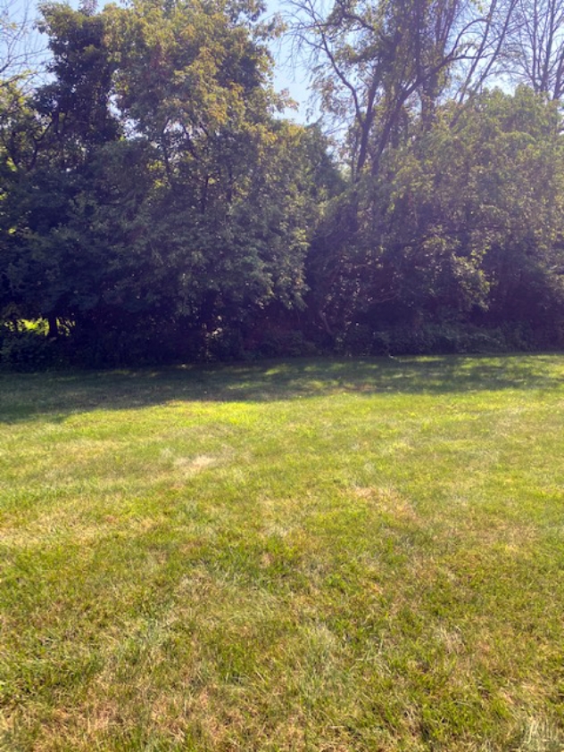 View facing east.