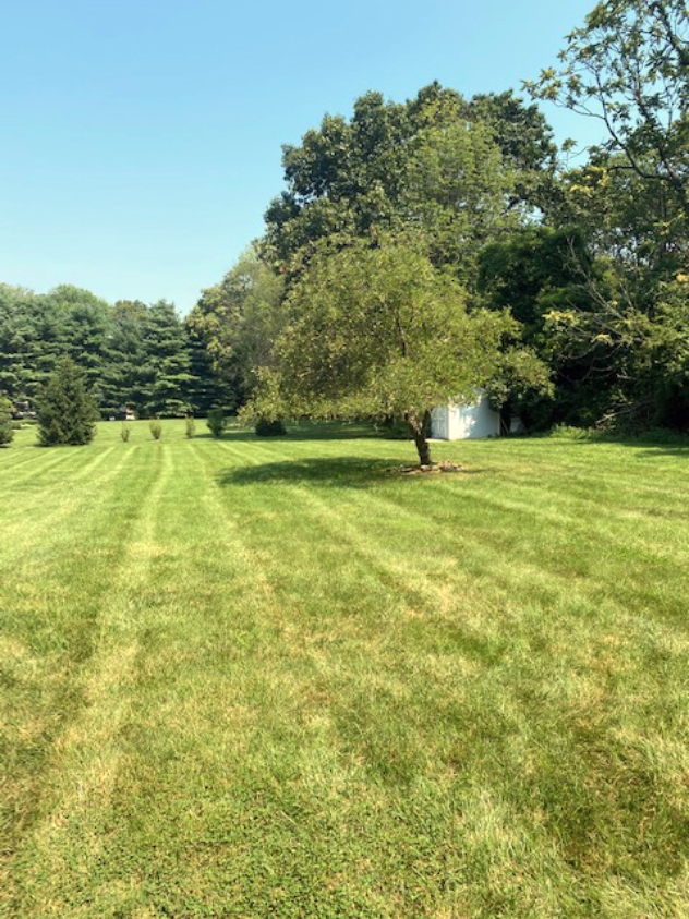 View facing north.