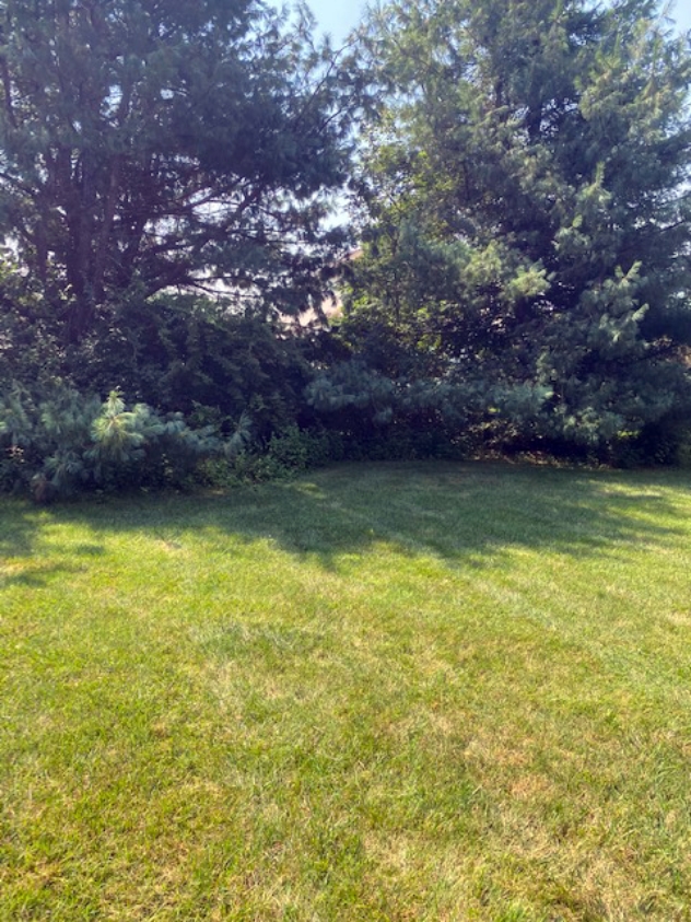 View facing south.