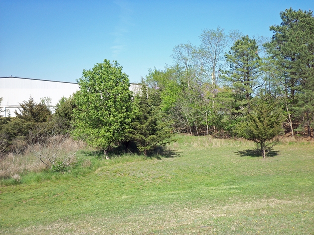 View facing east.
