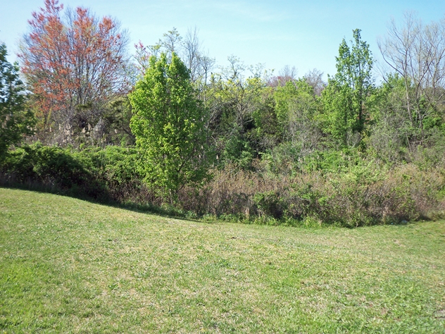 View facing north.