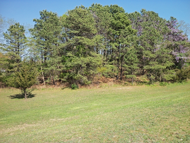 View facing southeast.