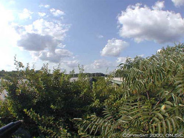 View facing north.