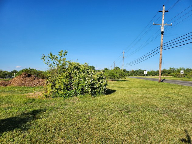 View facing east.