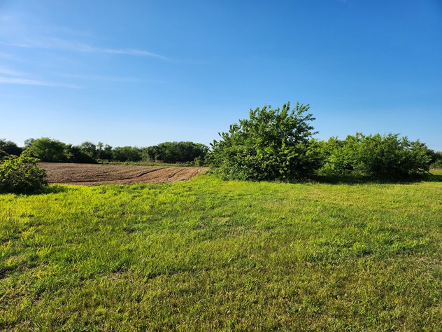 View facing north.