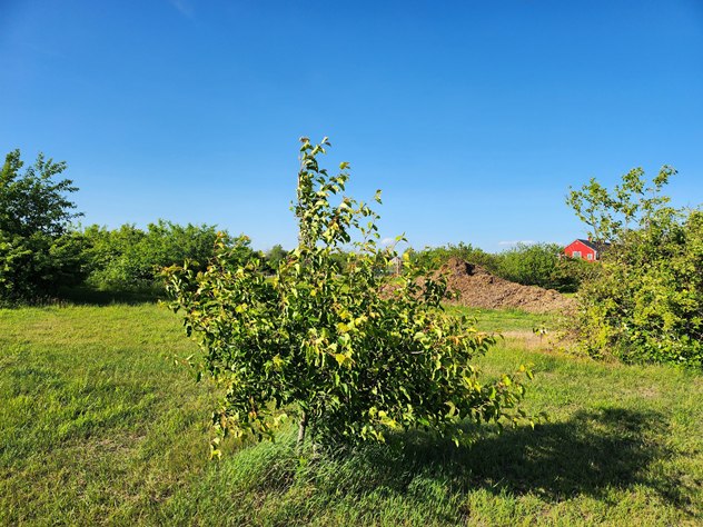 View facing northeast.