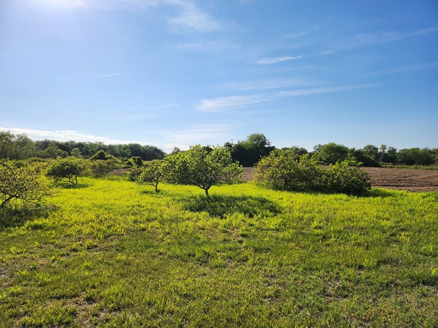 View facing northwest.