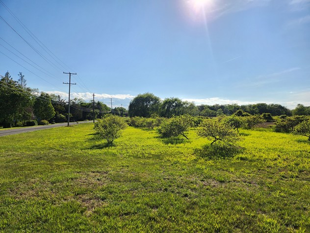 View facing west.