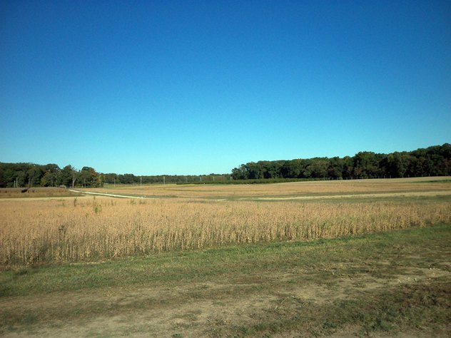 View facing east.