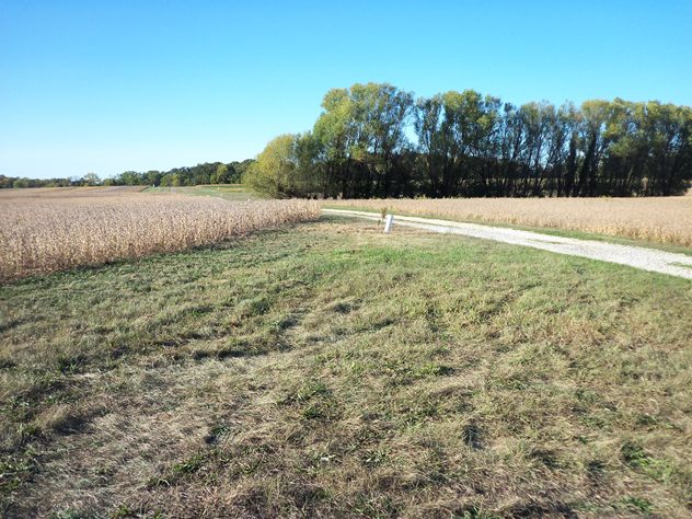 View facing north.