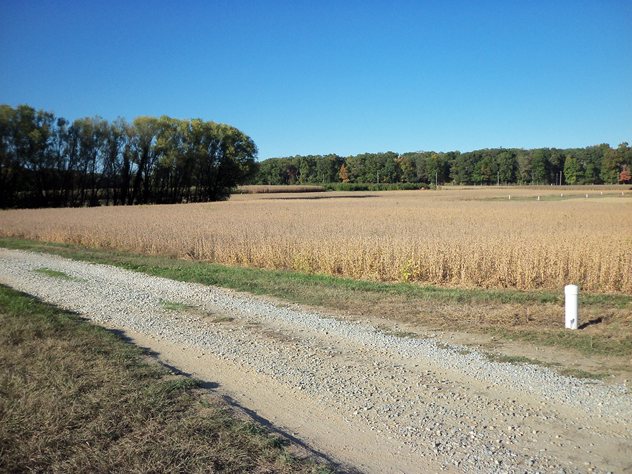 View facing northeast.
