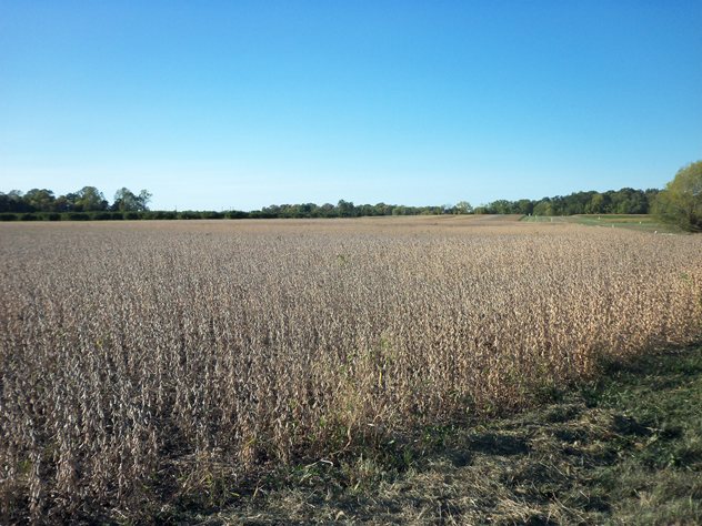 View facing northwest.