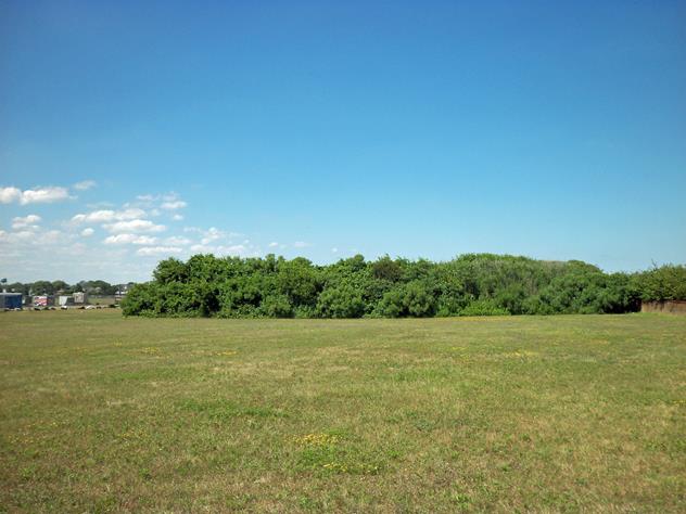 View facing north.