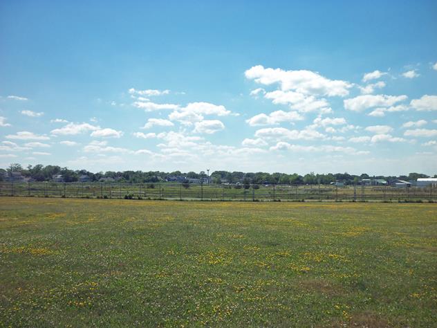 View facing west.