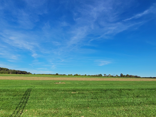 View facing east.