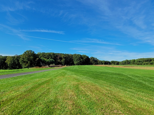 View facing north.