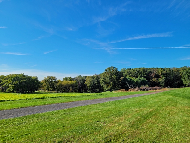 View facing northwest.