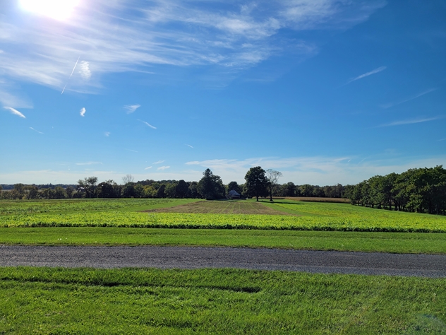 View facing west.