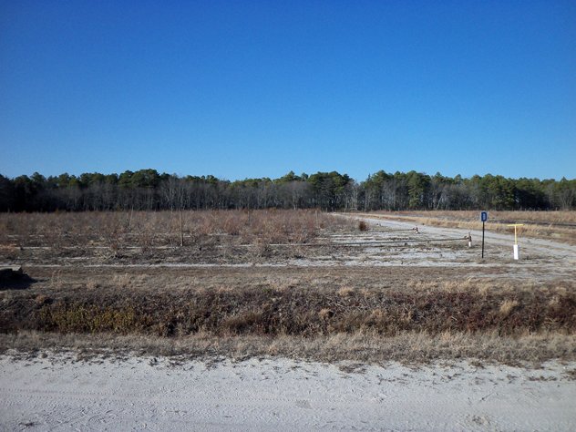 View facing north.