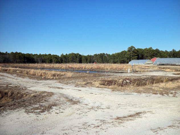 View facing northeast.