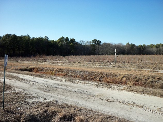 View facing northwest.