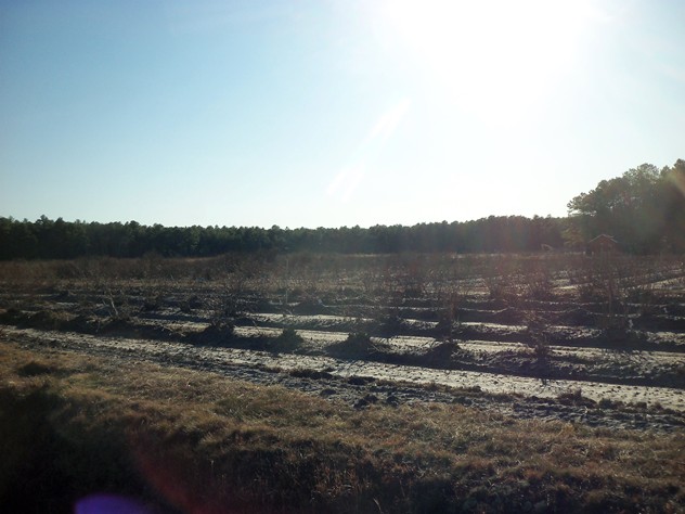 View facing southwest.