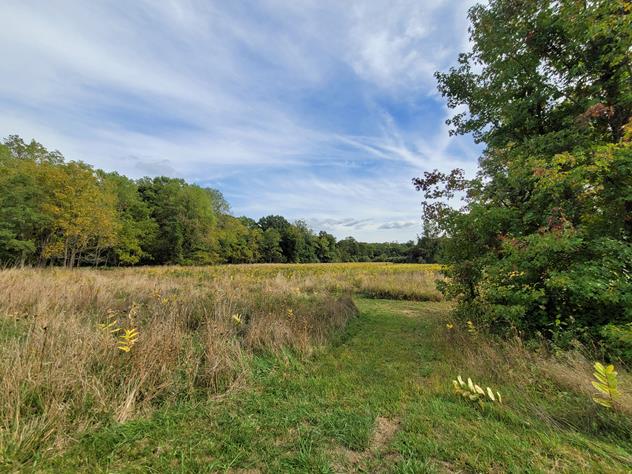 View facing southeast.