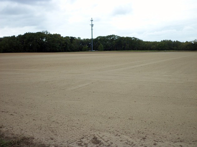 View facing west.
