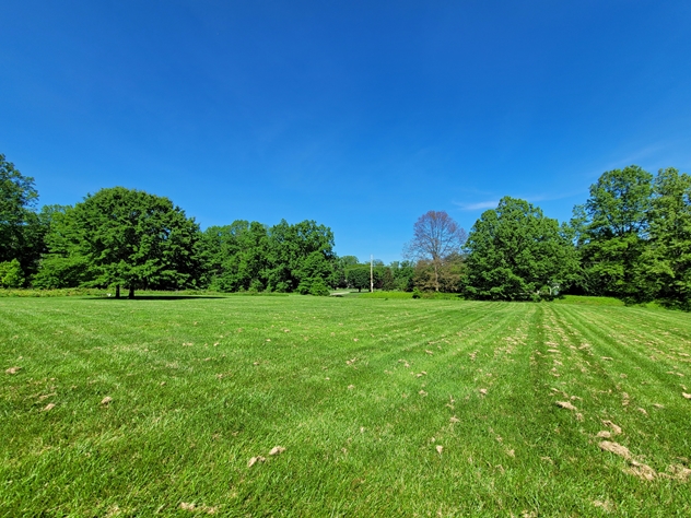 View facing east.