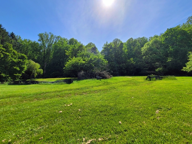 View facing west.