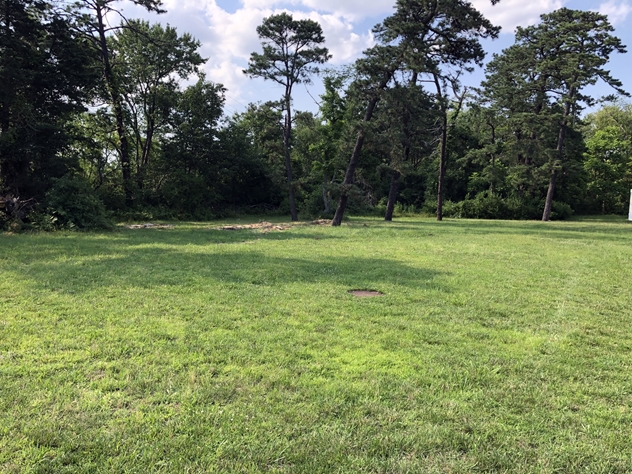View facing north.