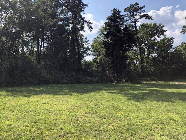 View facing northwest.