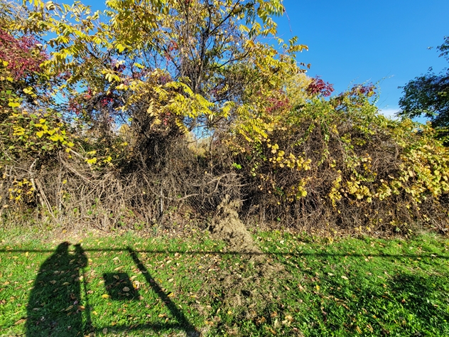 View facing north.