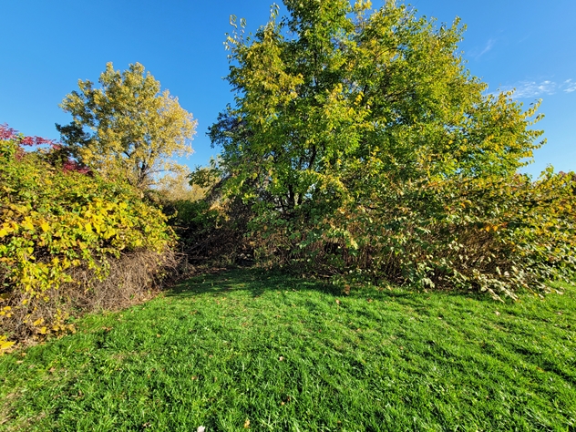 View facing northeast.