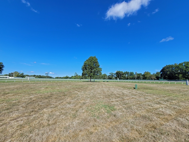 View facing north.