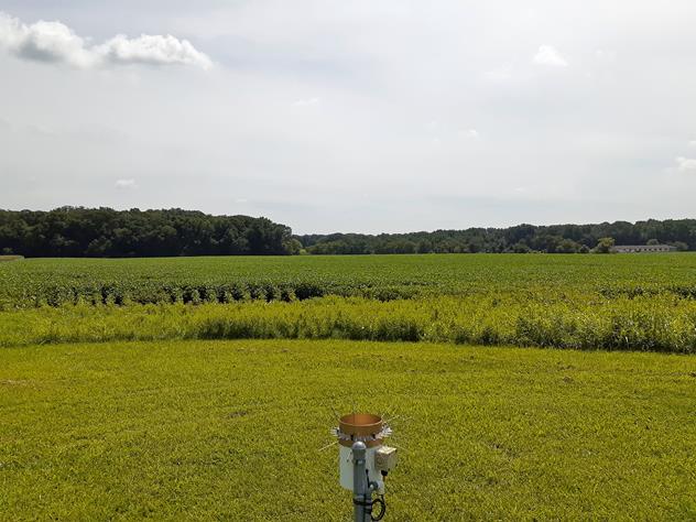 View facing south.