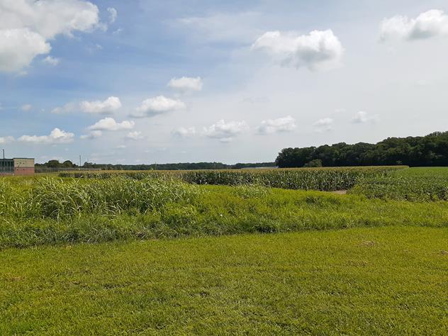 View facing southeast.