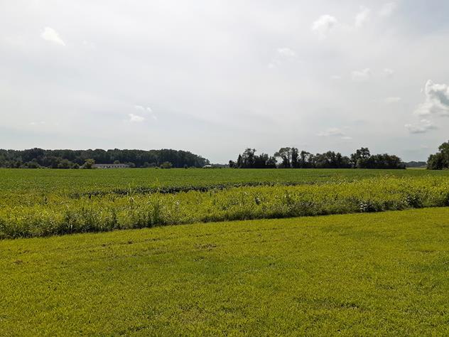 View facing southwest.